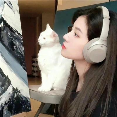 侠女十三妹